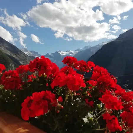 Petites Fleurs Апартаменты *