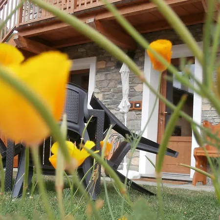 Petites Fleurs Cogne