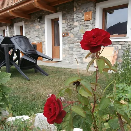 Petites Fleurs Apartment *