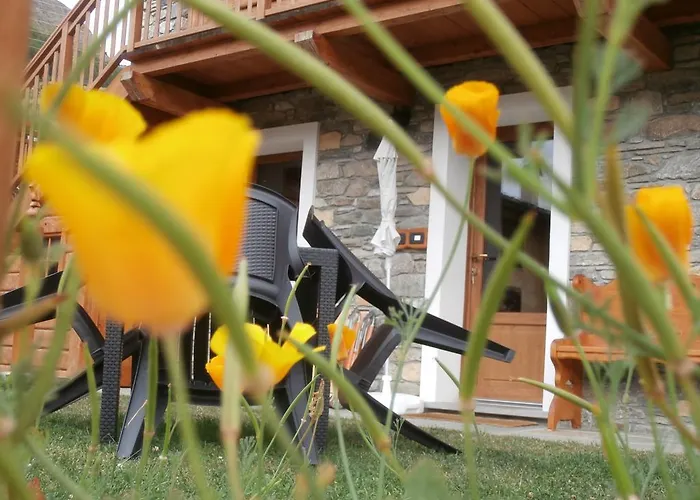 Petites Fleurs Cogne